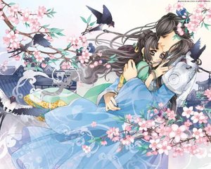 大象影视在线